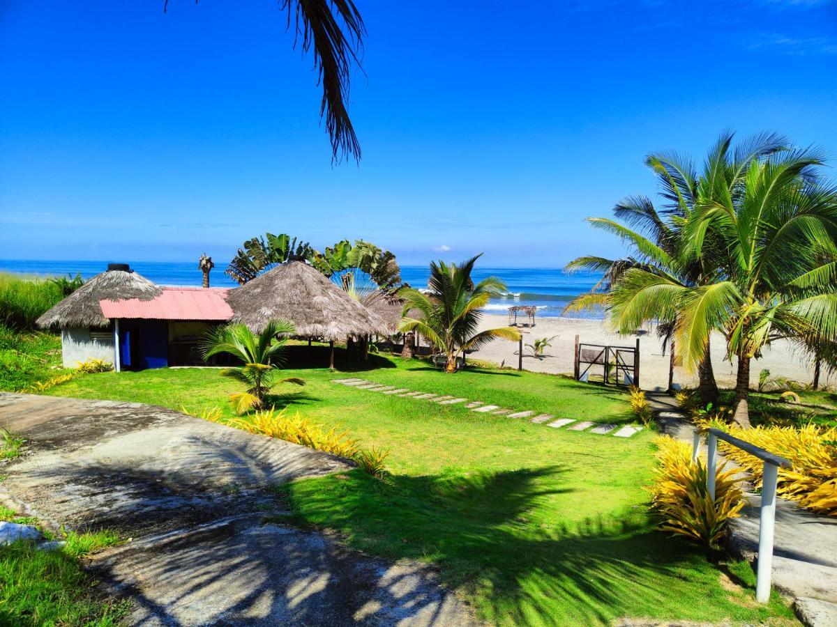 Hotel Punta Azul Педерналес Экстерьер фото